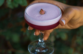 ליבּר-בוטיק קוקטיילים אקולוגי למסיבת רווקות